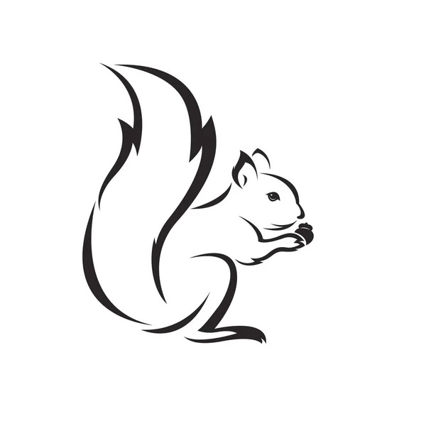 Vector Squirrel Design White Background Easy Editable Layered Vector Illustration — Stock Vector