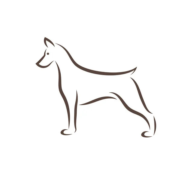 白い背景にドーバーマンピンチャー犬のデザインのベクトル 編集が簡単なレイヤーベクトルイラスト ペット — ストックベクタ