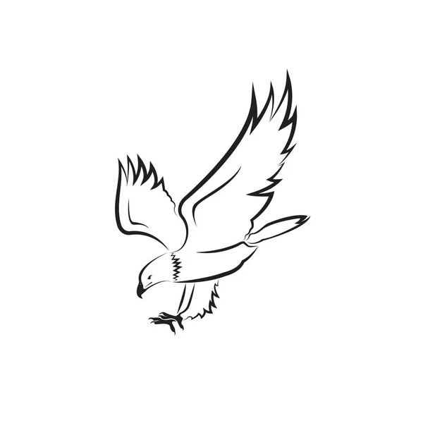 Vecteur Dessin Aigle Sur Fond Blanc Oiseau Animaux Sauvages Illustration — Image vectorielle