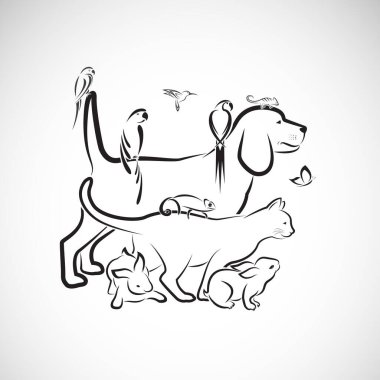 Evcil hayvan Vektör grubu - Köpek, Kedi, Papağan, Tavşan, Kelebek, Sinekkuşu, beyaz arka plan üzerinde izole. Evcil hayvan. Kolay değiştirilebilir katmanlı vektör çizimi. Evcil hayvan grubu.