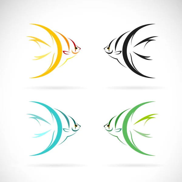 Vector Angel Fish Design White Background Easy Editable Layered Vector — Stock Vector