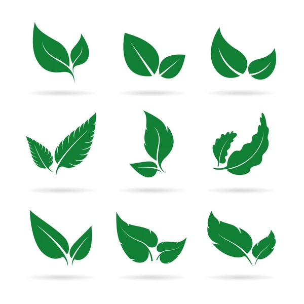 Vektor Von Grünen Blättern Icon Set Design Auf Weißem Hintergrund — Stockvektor