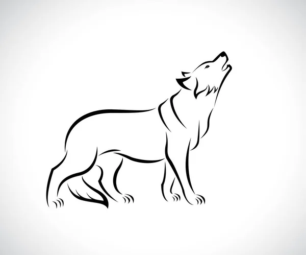 白色背景下的狼的矢量设计 易于编辑的分层矢量图解 野生动物 — 图库矢量图片