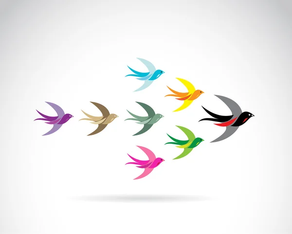 Vector Group of colorful swallow birds. Teamwork concept — Stock Vector