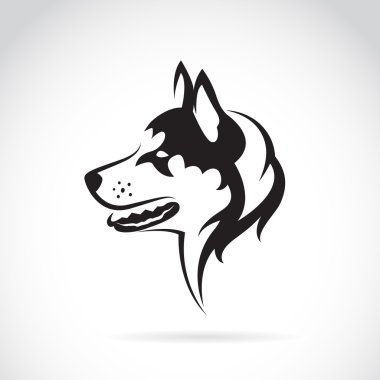 Beyaz arka planda Sibiryalı bir köpeğin vektör görüntüsü