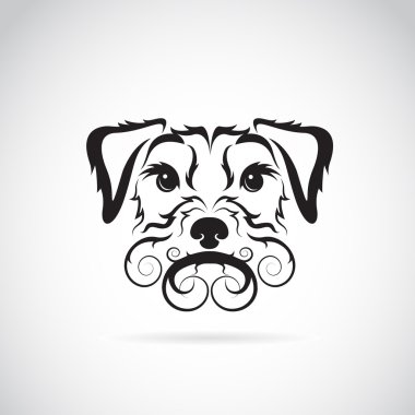 Beyaz arkaplanda bir köpeğin (İrlandalı terrier) vektör görüntüsü