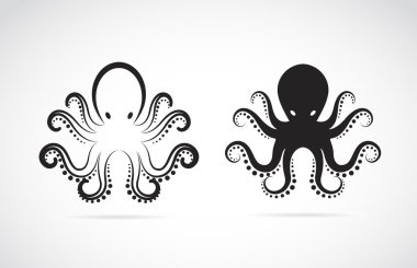 Vector image of an octopus on white background. clipart