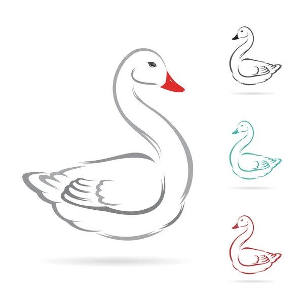 Imagen vectorial del cisne sobre un fondo blanco. — Vector de stock