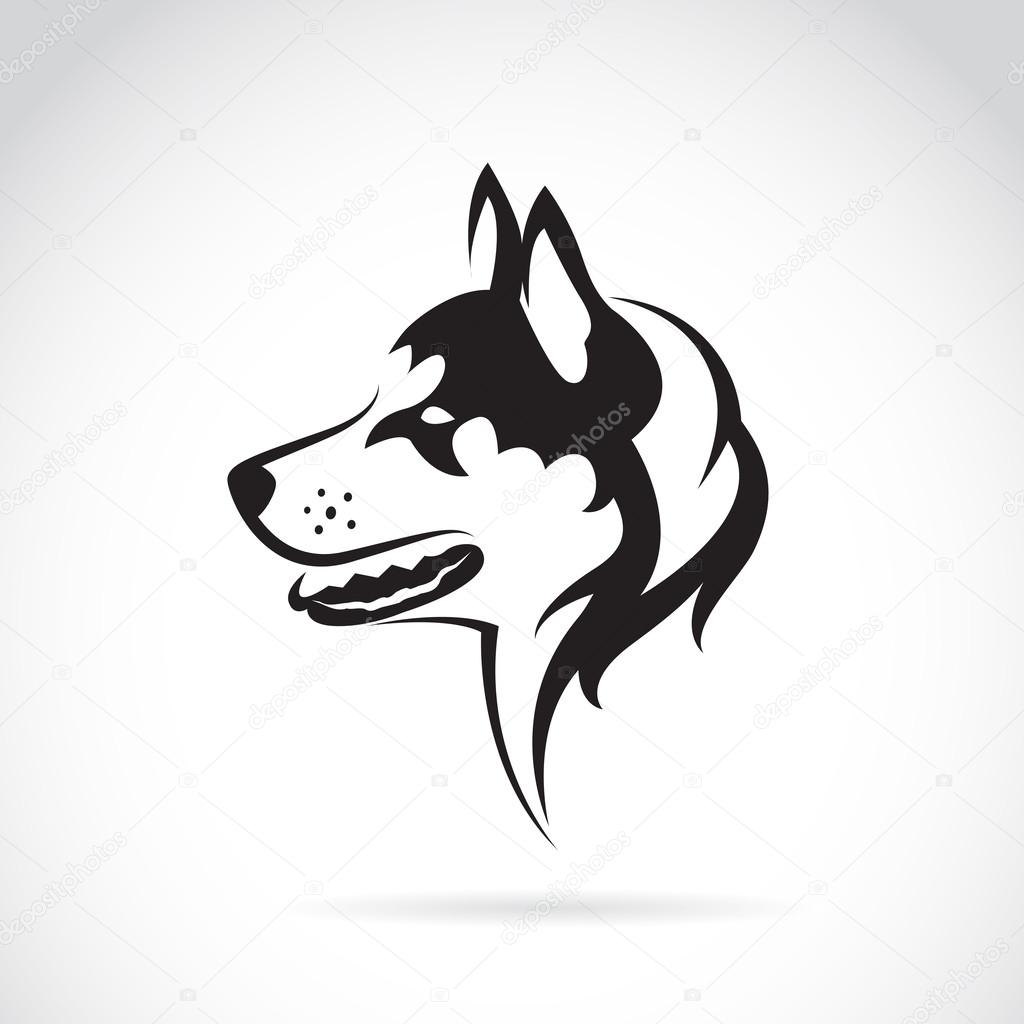 Vector image of a dog siberian husky on white background — Stock Vector ...