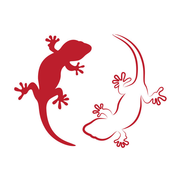 Vector image of an gecko on white background