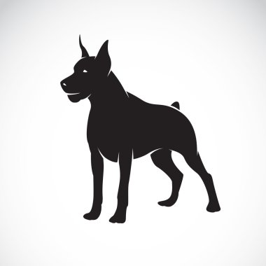 Bir köpek (Danua vektör görüntü) 