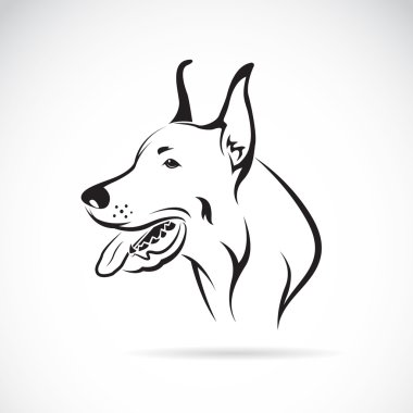Bir köpek (Danua vektör görüntü) 