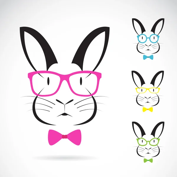 Vector image of a rabbits wear glasses — Stock Vector