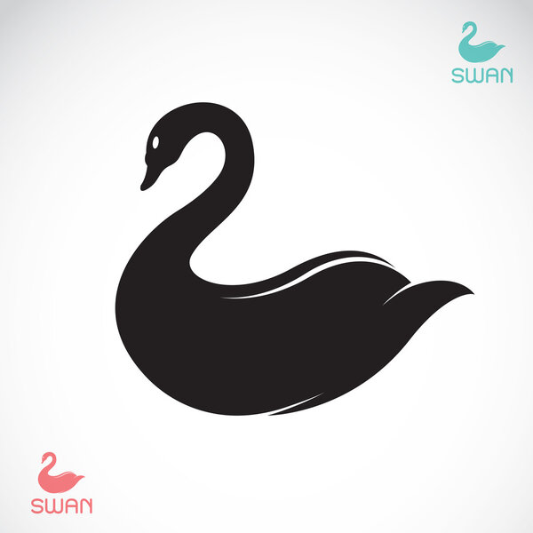 Vector images of swan 
