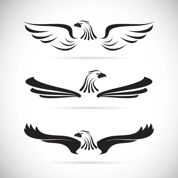 Векторное изображение орла на белом фоне — стоковый вектор