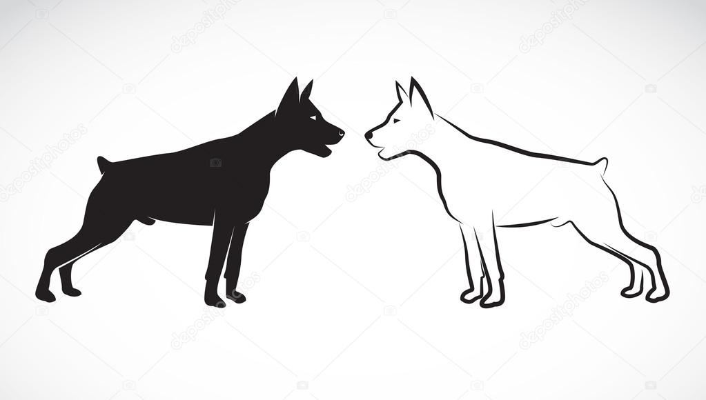 Vector image of an dog (Great Dane) 