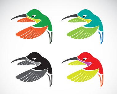 Beyaz arkaplanda bir sinekkuşunun vektör görüntüsü