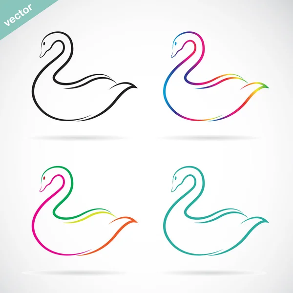 Vector images of swan on a white background. — Stock Vector