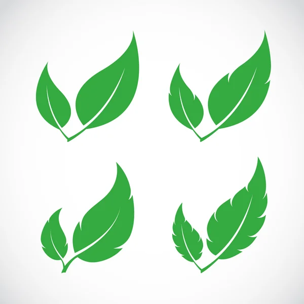 Icona foglie vettoriali impostata su sfondo bianco — Vettoriale Stock