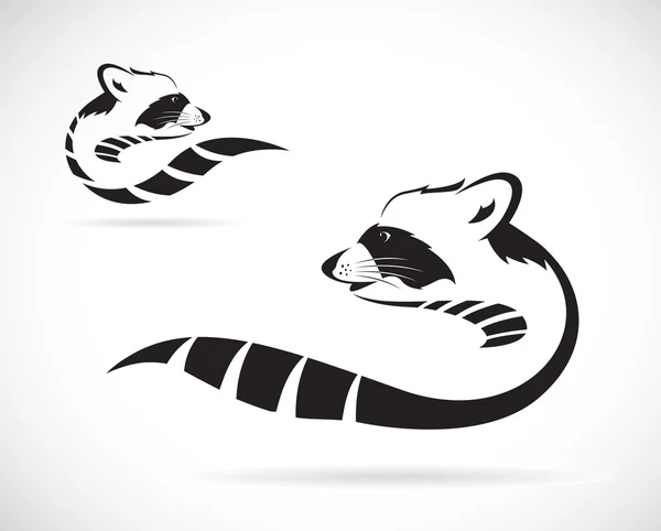 Image vectorielle d'un raton laveur sur fond blanc — Image vectorielle