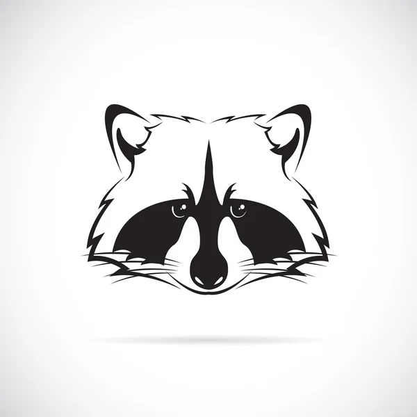 Vector image of a raccoon face on white background — Stock Vector