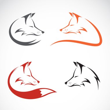 Vector image of an fox design  clipart
