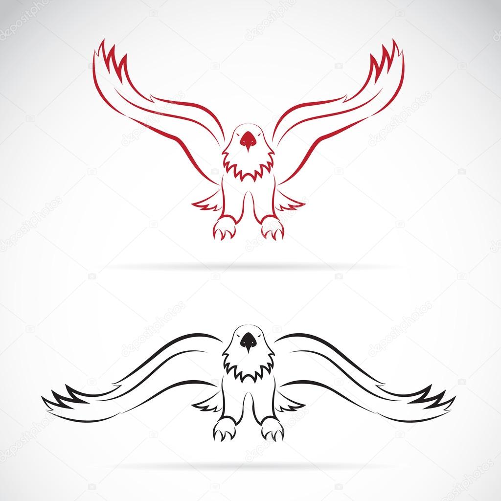 Vector image of an eagle on white background