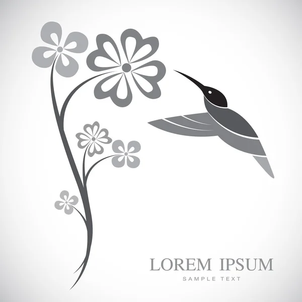 Diseño vectorial de colibrí y flores — Vector de stock