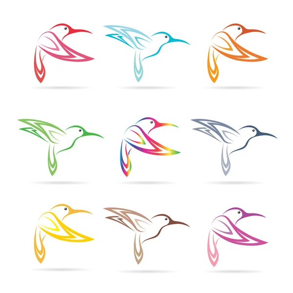 Gruppo vettoriale di colibrì su sfondo bianco — Vettoriale Stock