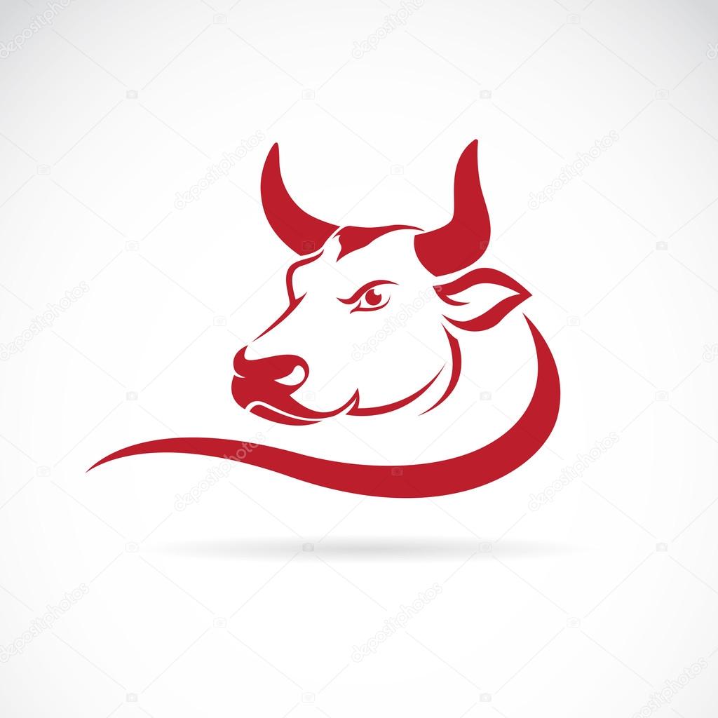 Vector image of an bull head on a white background