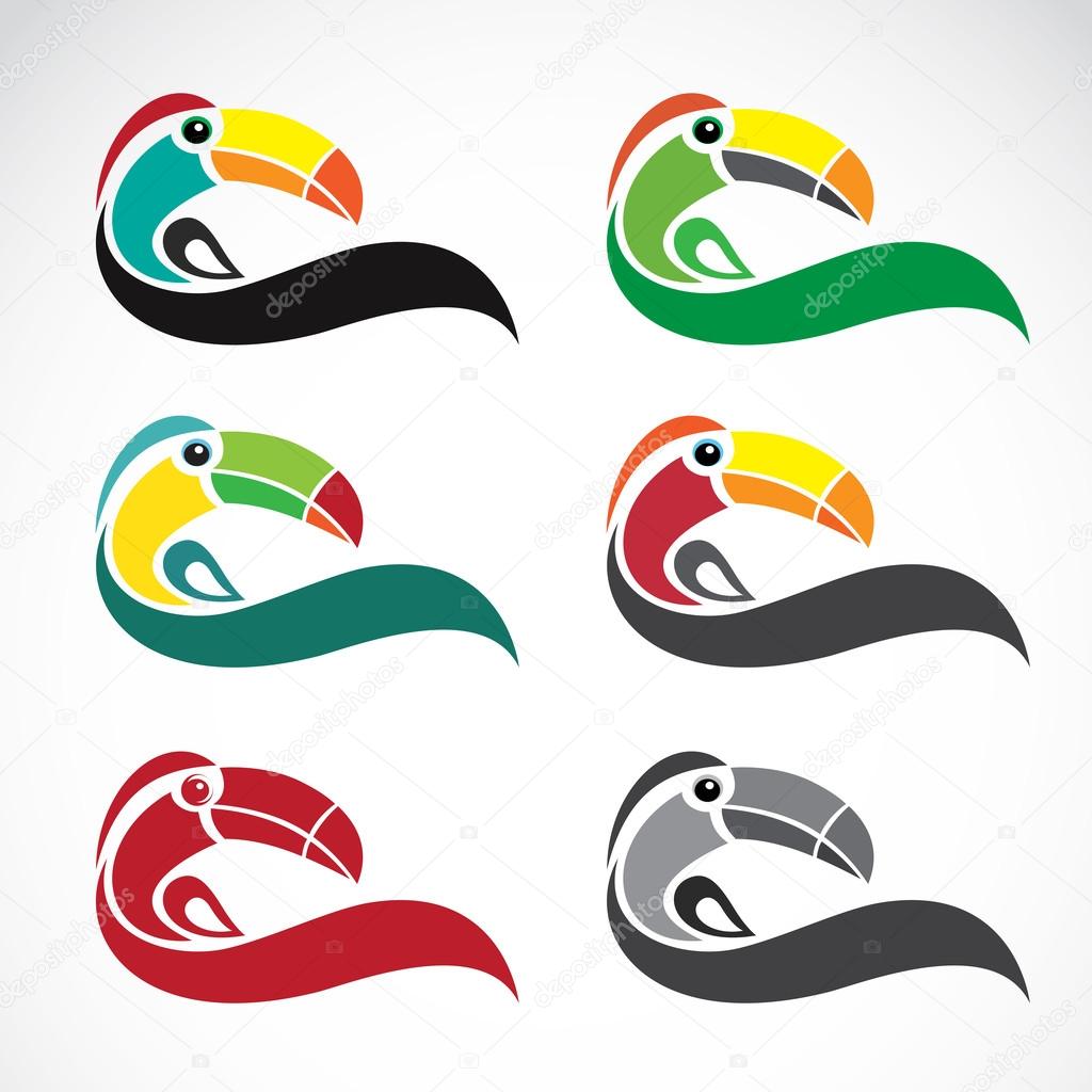 Vector image of an toucan design on white background