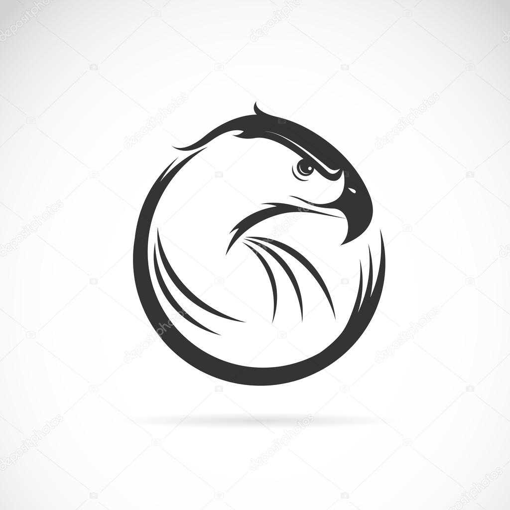 Vector image of an eagle design on white background