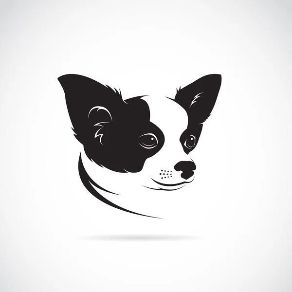 Imagen vectorial de un perro chihuahua sobre fondo blanco — Archivo Imágenes Vectoriales