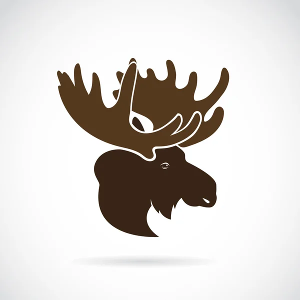 白い背景にモース鹿の頭のベクトル画像. — ストックベクタ