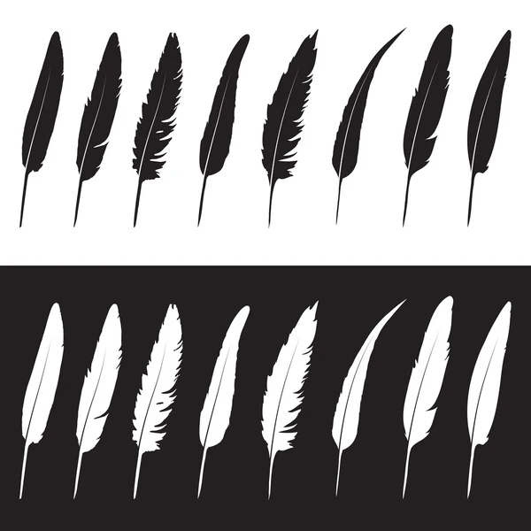 Vektor-Gruppe von Federn auf weißem Hintergrund und schwarzem Hintergrund — Stockvektor