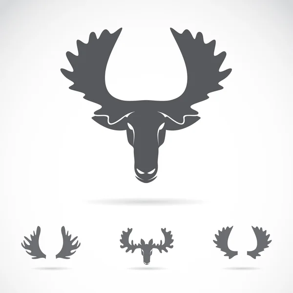 Vector image of an moose head on a white background — Stock Vector