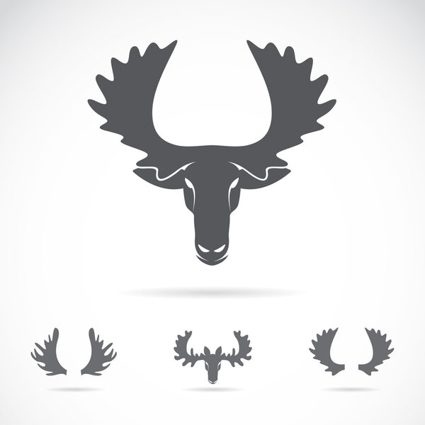 Vector image of an moose head on a white background