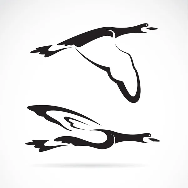 Vector afbeelding van een vliegende wilde eend op witte achtergrond — Stockvector