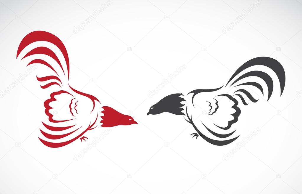 Vector image of an cock on white background