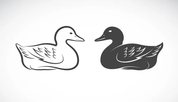 Imagen vectorial de un pato sobre fondo blanco — Archivo Imágenes Vectoriales