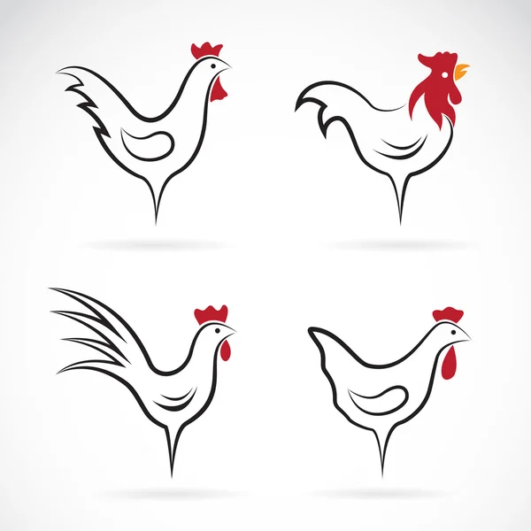 Vector image of an chicken design on white background — Stock Vector