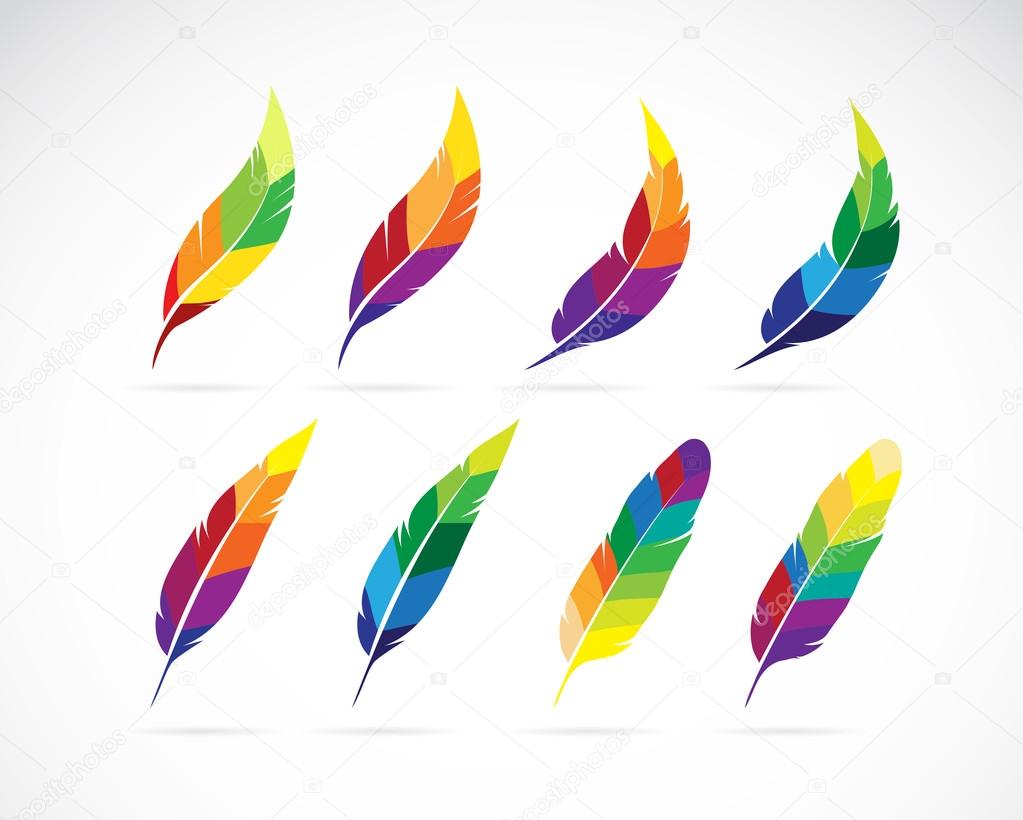 Vector group of an feathers design 