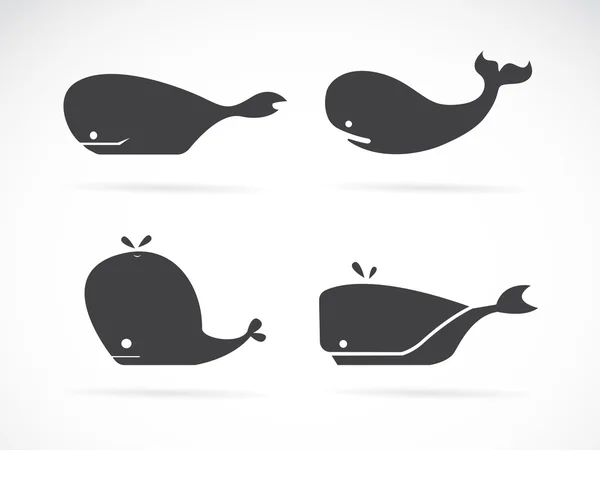 Set of vector whale icons on white background — Stock Vector