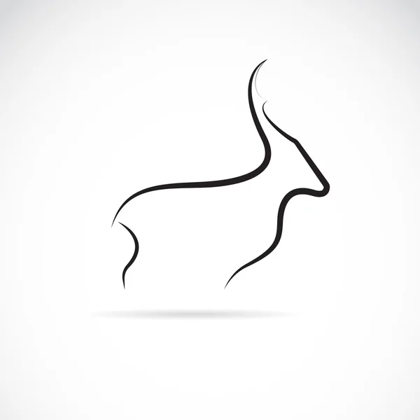 Image vectorielle d'un dessin de cerf sur fond blanc — Image vectorielle