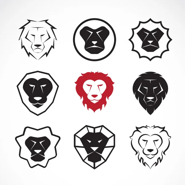 Vector group of an lion head design on white background — Stock Vector