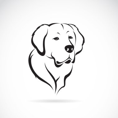 Beyaz arkaplanda Golden retriever 'ın vektör görüntüsü