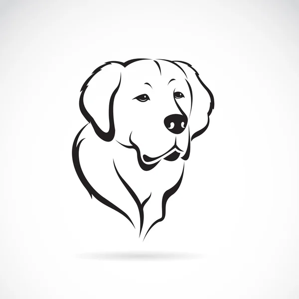 Imagen vectorial de golden retriever sobre fondo blanco — Archivo Imágenes Vectoriales