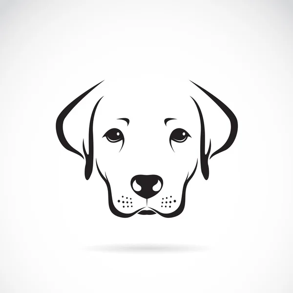 Vector image of an dog labrador on white background — Stock Vector