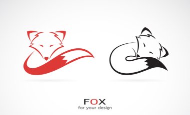 Vector image of an fox design on white background clipart