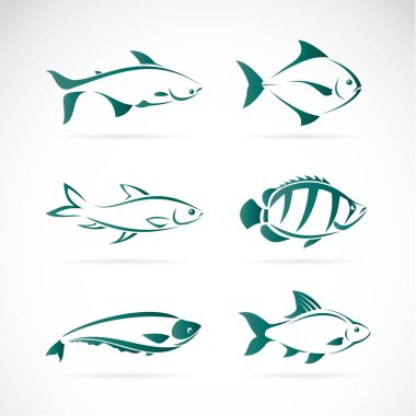Beyaz arkaplandaki balık vektör grubu